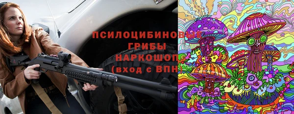 дмт Алексин