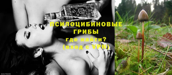 дмт Алексин