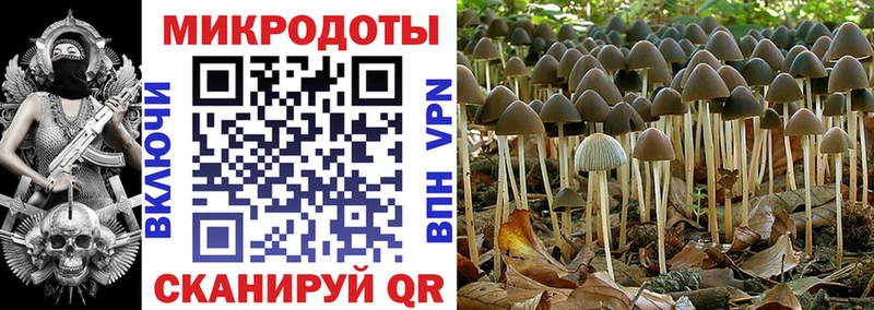 Галлюциногенные грибы мухоморы  купить наркоту  Калининск 